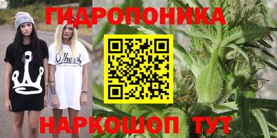 первитин Будённовск