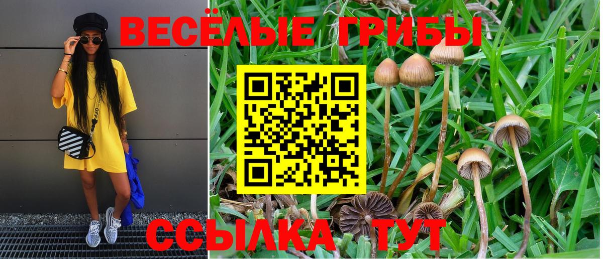 Галлюциногенные грибы мицелий  Вход с VPN  Алапаевск  Галлюциногенные грибы MAGIC MUSHROOMS 